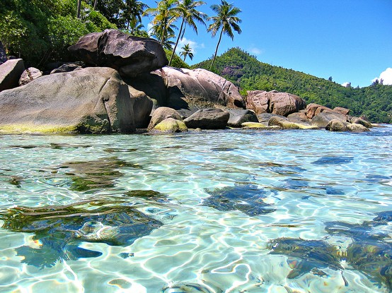 Photo:  The Seychelles 